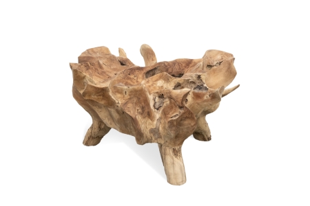134 - Root Coffee Table