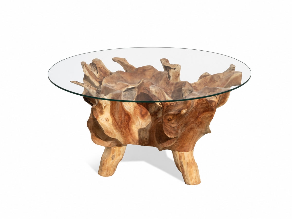 136 - Root Coffee Table