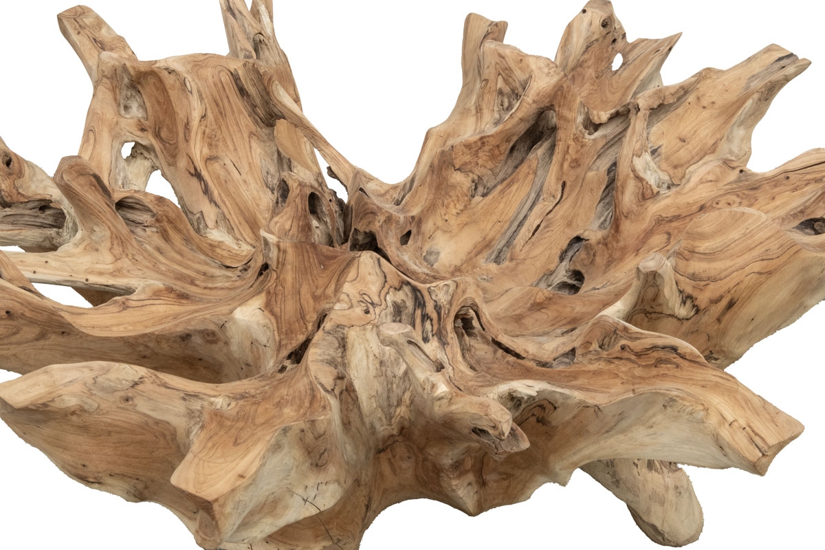 133 - Root Coffee Table