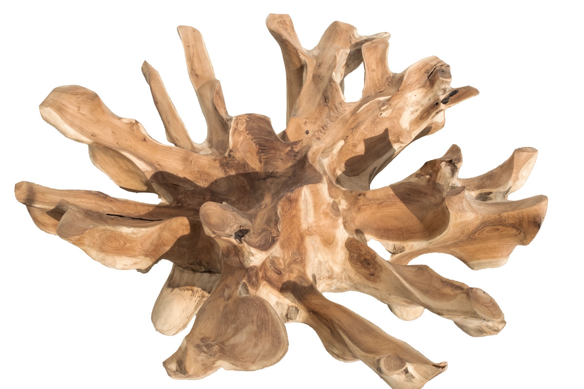 137 - Root Coffee Table