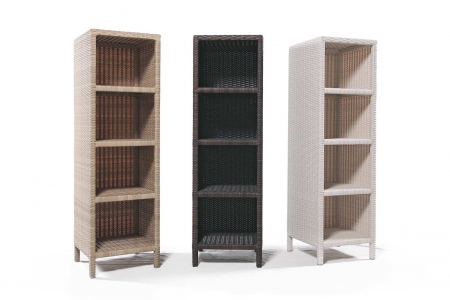 Cabinet - Shelves Module
