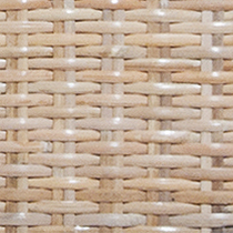 RATTAN SKIN